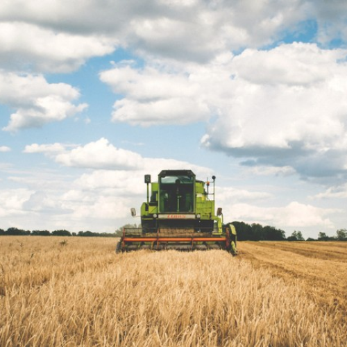 Inadimplência em alta no agro pressiona  bancos, e crédito deve ficar mais restrito