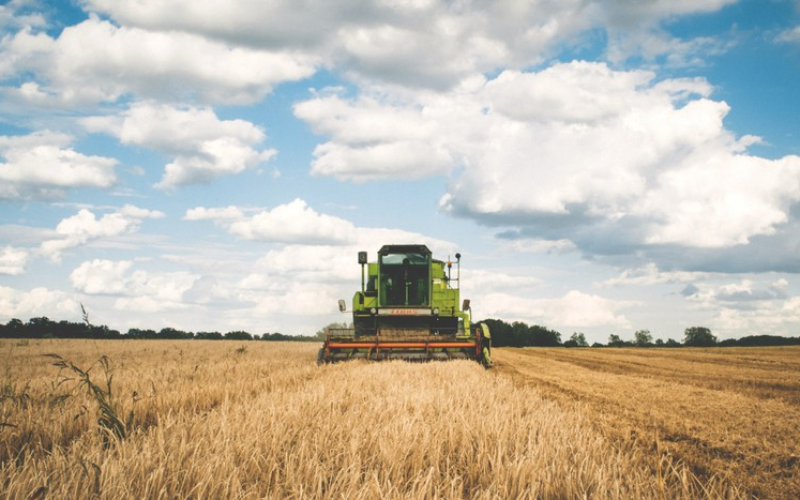 Inadimplência em alta no agro pressiona  bancos, e crédito deve ficar mais restrito