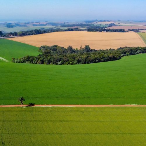 Plano Safra deveria acompanhar o ano civil, afirma ex-secretário de Política Agrícola 