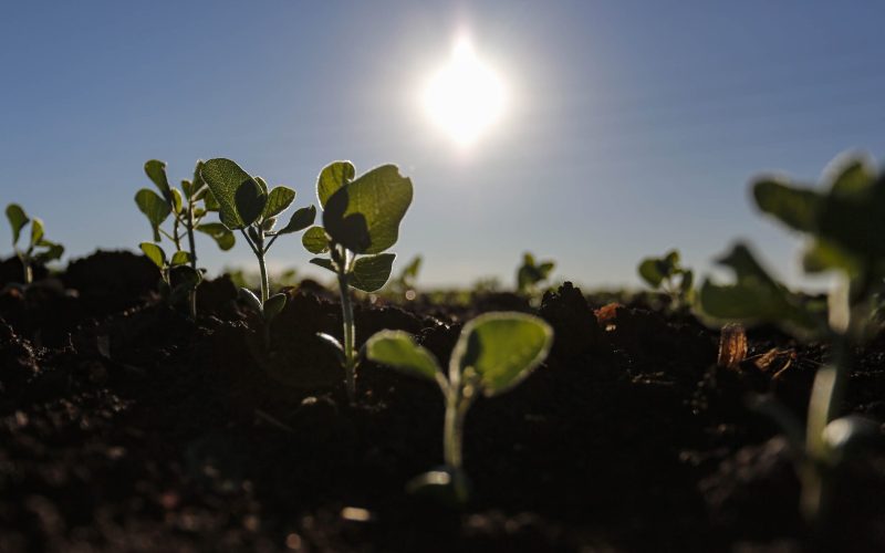 Governo eleva exigibilidades do crédito rural para tentar aumentar Plano Safra