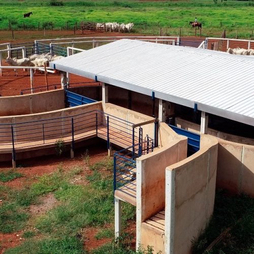Saiba o que é preciso para fazer um curral eficiente