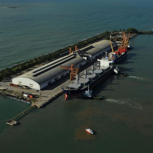 Produtores de cacau da Bahia fazem protesto contra alta nas importações da África