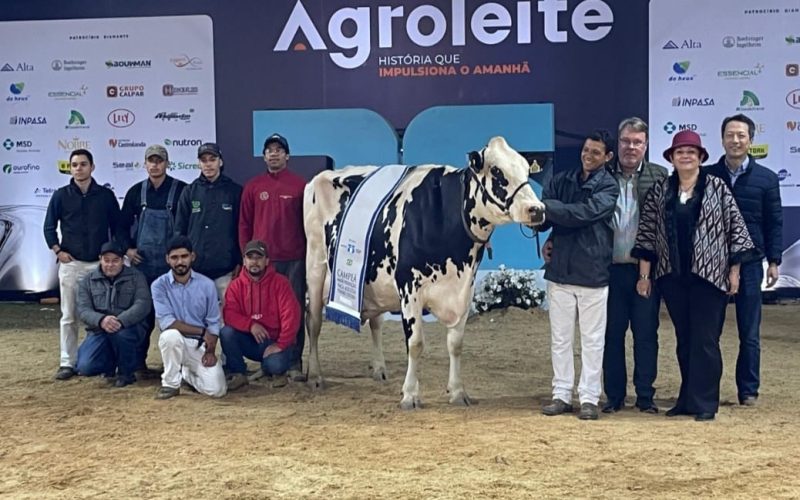 Vaca produz quase 100 quilos de leite por dia e vence torneio