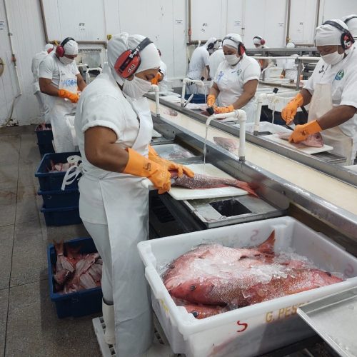 Importadora confirma: “paramos de comprar pescado do Brasil”