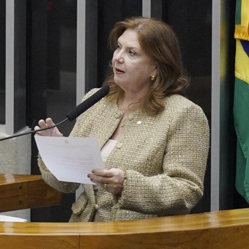 Deputada Fernanda Pessoa destaca trajetória da Assembleia Legislativa do Ceará em sessão no Congresso