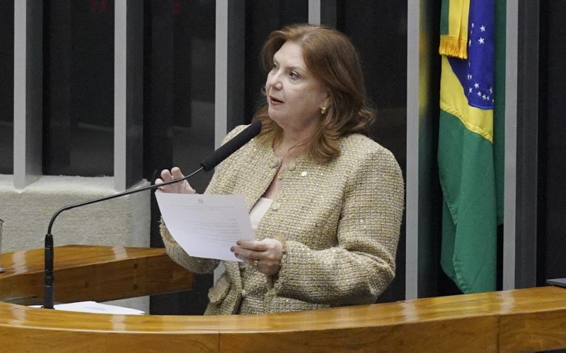 Deputada Fernanda Pessoa destaca trajetória da Assembleia Legislativa do Ceará em sessão no Congresso