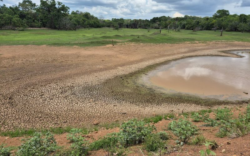 Clima instável prejudica plantio de soja no Matopiba