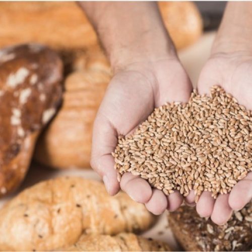 Tarifaço dos EUA pode impactar seguros logísticos no Brasil