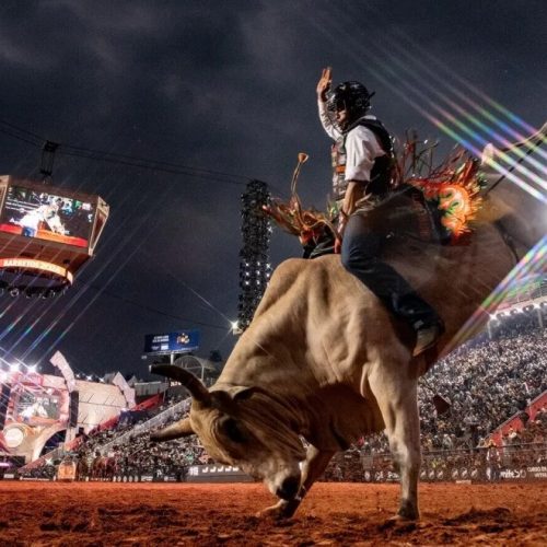 Calendário de rodeios: confira as datas dos principais eventos de 2026