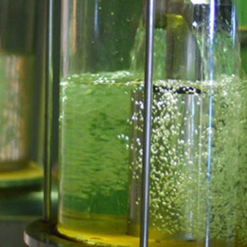 Biocombustíveis devem ter aporte de R$ 106 bilhões até 2035