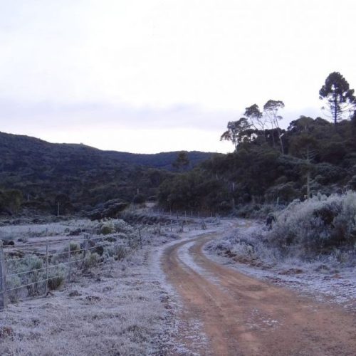 Frente fria avança sobre o RS e gera alerta de neve em Santa Catarina