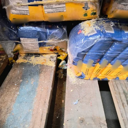 Supermercado é interditado em Fortaleza por infestação de roedores e risco à saúde