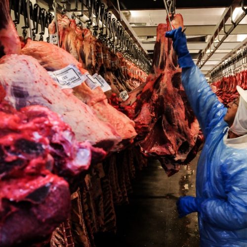 Exportações de carne bovina crescem 50% em novembro e se aproximam de recorde em 2025