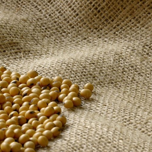 Grãos fecham em queda nesta terça-feira na bolsa de Chicago