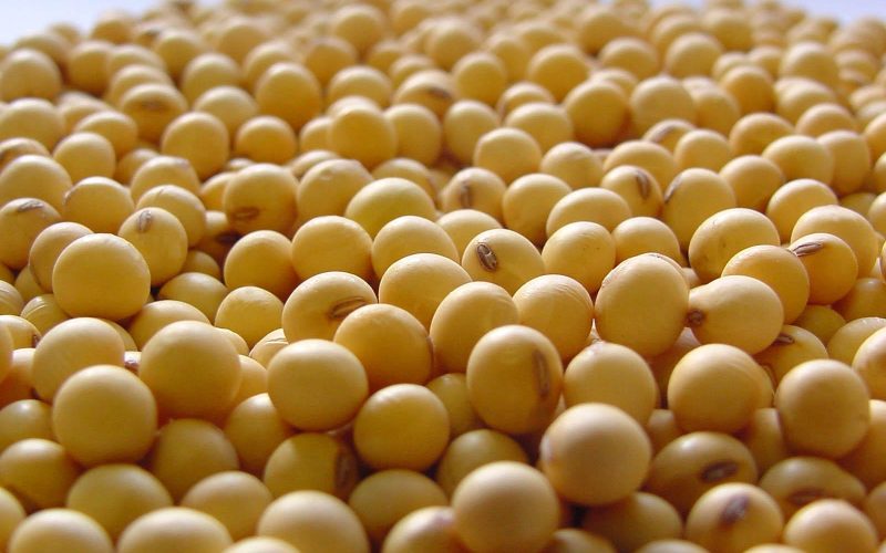 Prêmios sustentam preço da soja no Brasil, mas há receio de acordo entre EUA e China