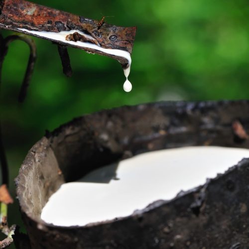 Governo prorroga taxa de importação de borracha e anuncia verba para defesa agropecuária