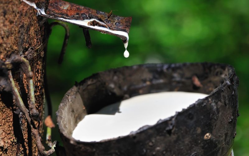 Governo prorroga taxa de importação de borracha e anuncia verba para defesa agropecuária