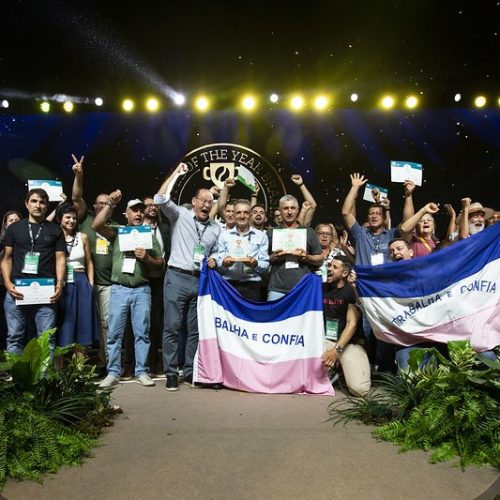 Espírito Santo domina premiação de melhores cafés do Brasil