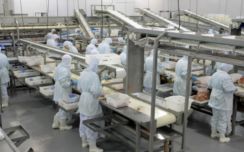 Impacto da gripe aviária ainda é limitado para frigoríficos na B3