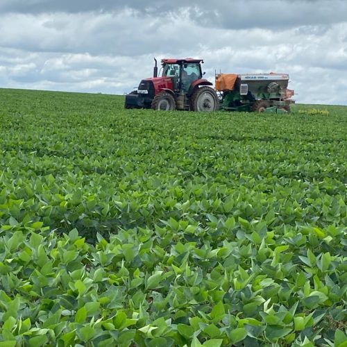 Governo oficializa uso de sobras no seguro rural em dezembro