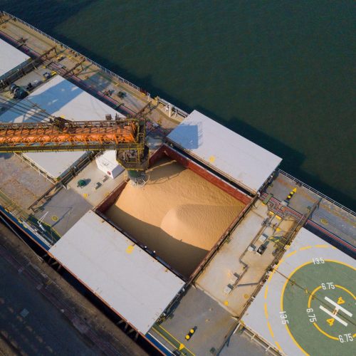 China respondeu por 84% das importações de soja do Brasil em agosto
