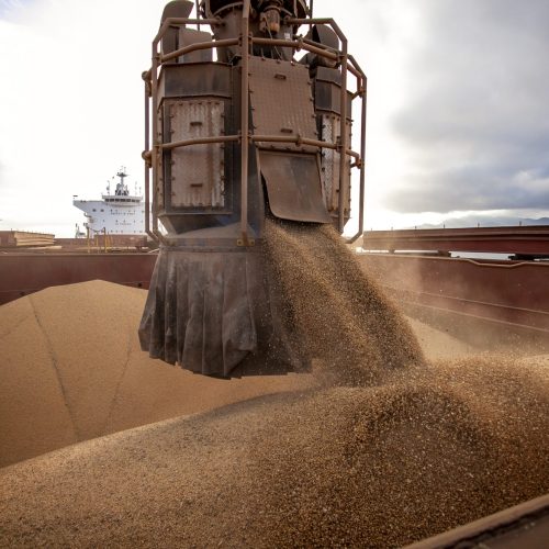 Brasil forneceu quase 90% da soja importada pela China em 2025