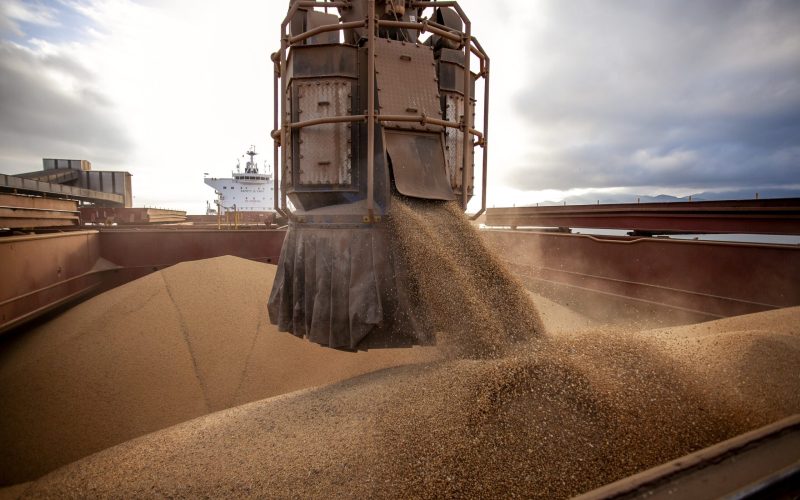 Produtores americanos dizem que China trocou soja dos EUA pela do Brasil e pedem ajuda a Trump