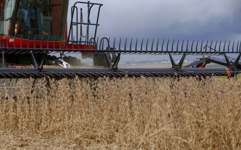 Soja, milho e trigo iniciam o dia em baixa na bolsa de Chicago