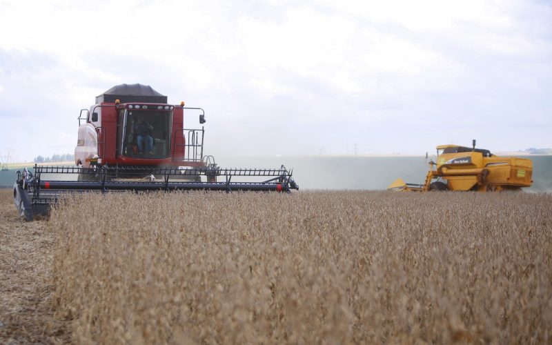 Grãos impulsionam PIB da agropecuária no 2º trimestre