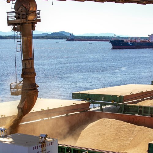 Exportações do agronegócio cresceram 1,5% em agosto