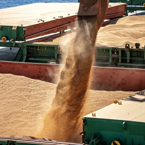 China compra 250 mil toneladas de soja dos EUA, diz agência