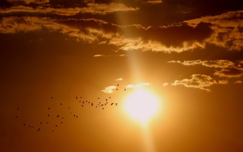 Verão 2025/2026: veja como será a estação no Brasil