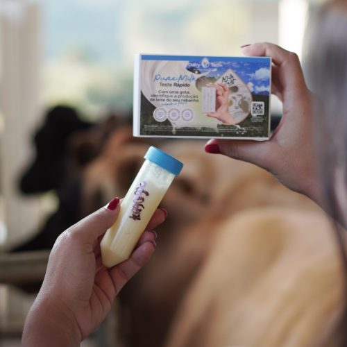 Teste identifica leite livre de proteína ligada à má digestão