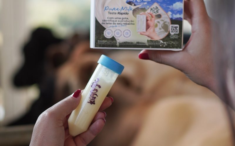 Teste identifica leite livre de proteína ligada à má digestão