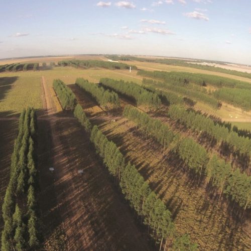 Conheça os municípios com maior procura por terras rurais em 2025