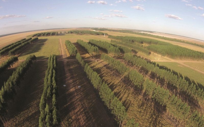 Conheça os municípios com maior procura por terras rurais em 2025