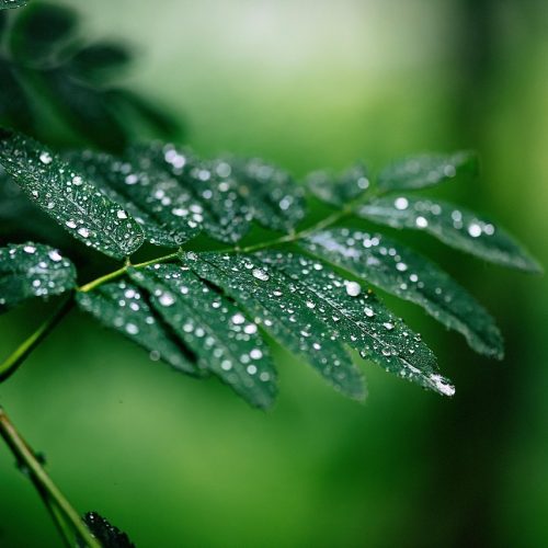 Chuva retorna ao Sudeste, enquanto interior do país segue seco; veja previsão