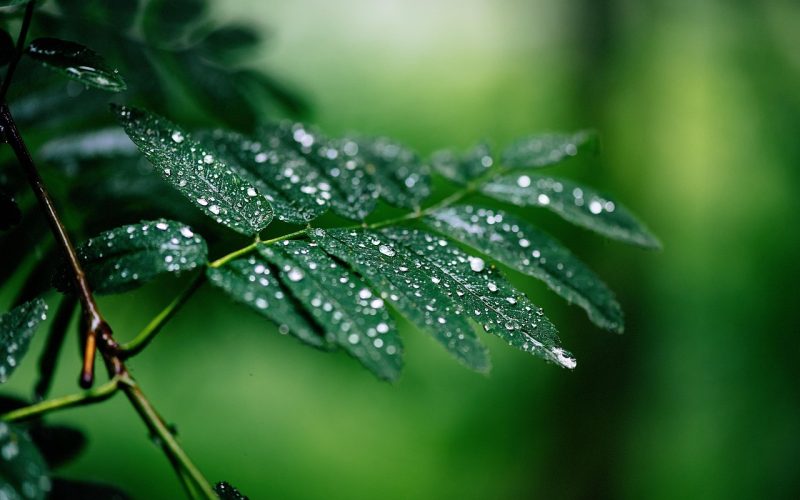 Semana começa com chuva no Sul e seca no Centro-Oeste