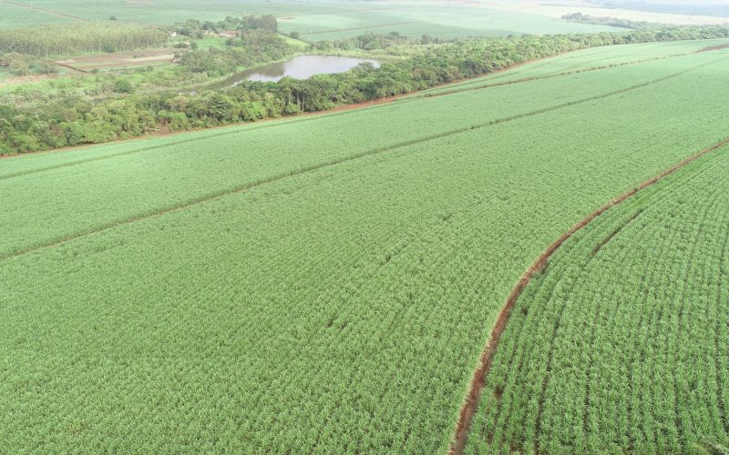Projeto da Vivo quer conectar mais de 700 mil hectares no interior paulista