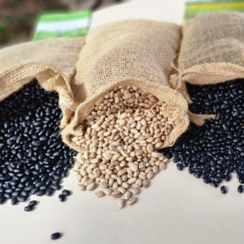 Exportações de feijão bateram recorde em outubro