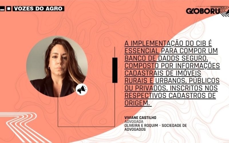 O “CPF” dos imóveis e a nova era da transparência imobiliária