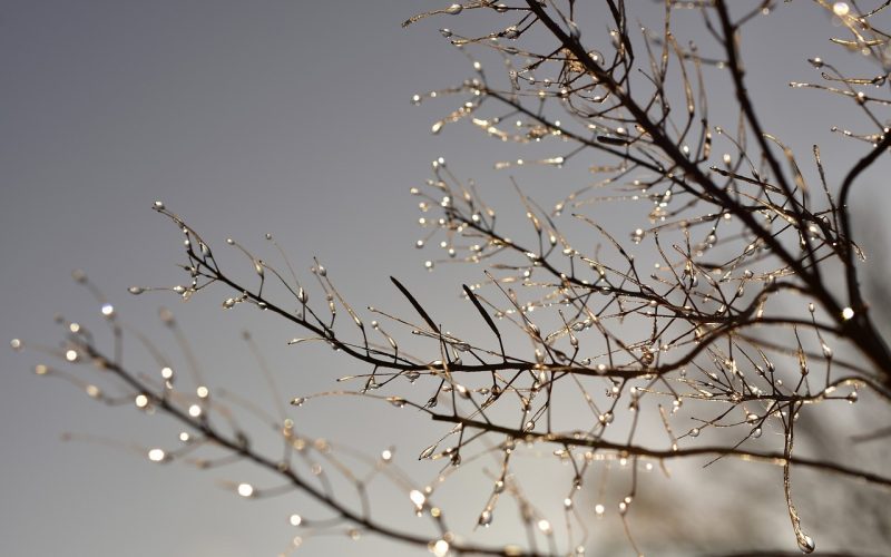 O que está causando o frio? Entenda a queda nas temperaturas