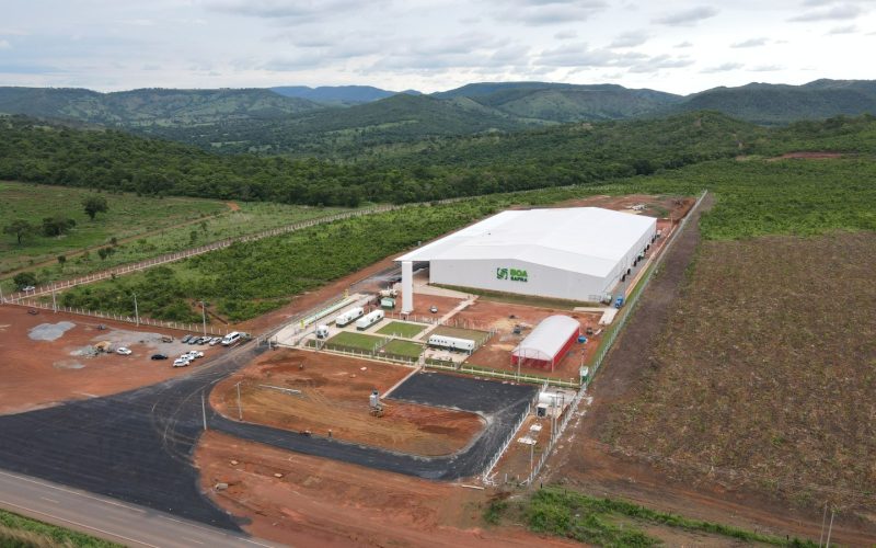 Apesar do recorde de produção, Boa Safra tem resultados financeiros abaixo do esperado, diz Citi
