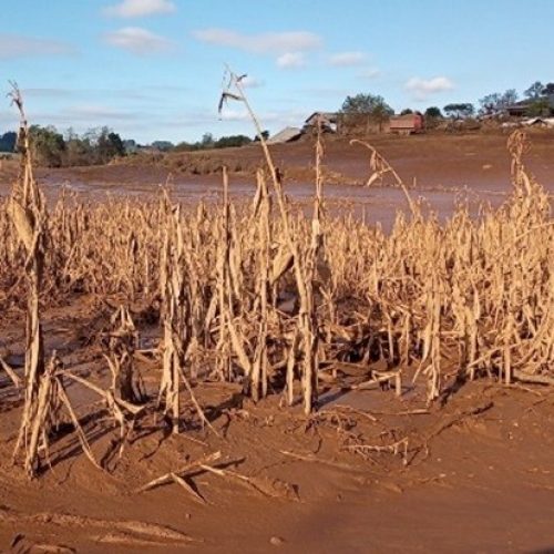 Seguro rural entra na contenção de gastos. E agora, produtor?