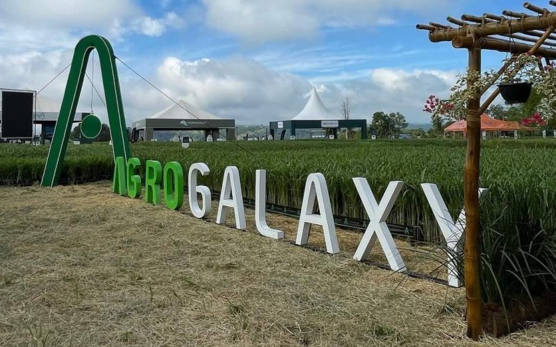 Agrogalaxy teve prejuízo de R$ 2,5 bi em 2024