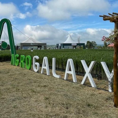 Agrogalaxy aprova emissão de R$ 213,2 milhões em debêntures para reorganizar dívidas