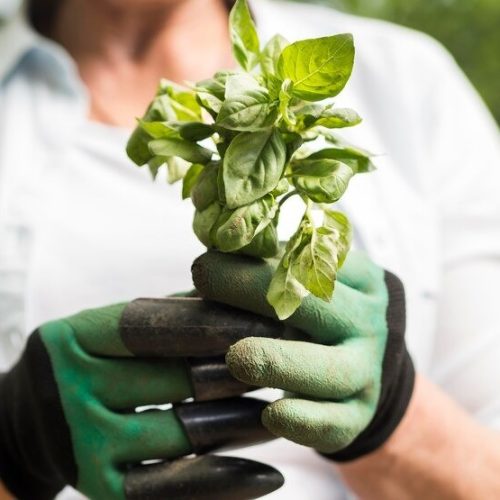 Bioinsumos crescem 37,5% na Coopercitrus, mas ainda representam fatia pequena do negócio