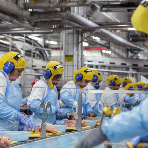 Lucro líquido da BRF chegou a R$ 1,1 bilhão no primeiro trimestre