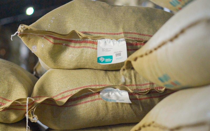 Setor de café perde R$ 66,1 milhões em 2025 com infraestrutura portuária