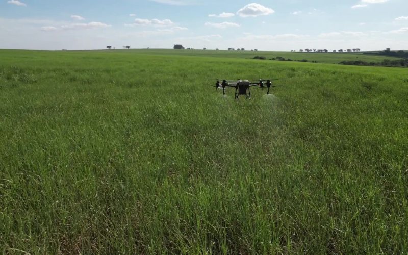 Práticas verdes aumentam colheita da Tereos